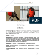Articles-255014 Recurso PDF