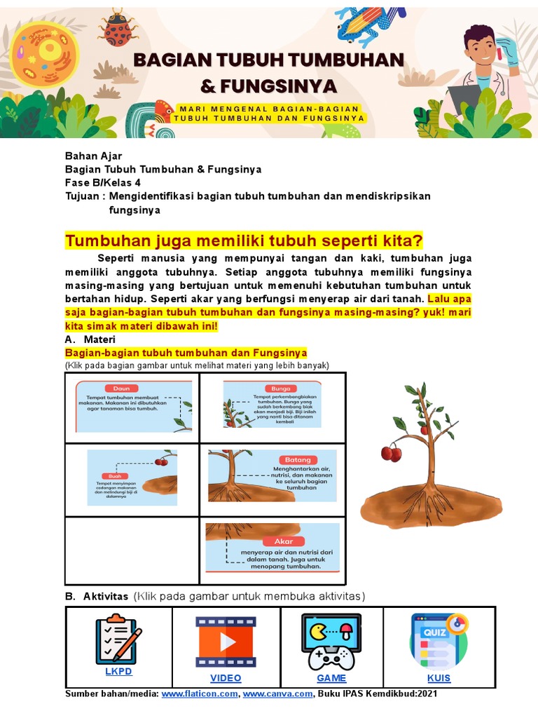Bagian Tubuh Tumbuhan Dan Fungsinya (8) (1) | PDF