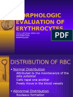 48271934 7 Morphologic Evaluation of Erythrocytes