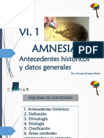 6.1 Antecedentes Históricos