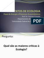 Fluxo de Energia e Processos Ecossistêmicos