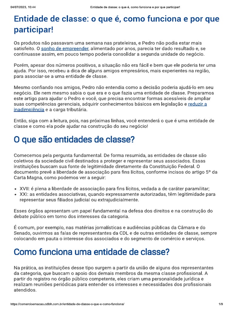 Entidade de Classe o Que É Como Funciona e Por Que Participar | PDF