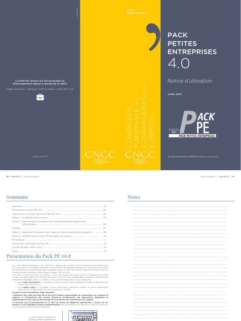 Pack PE 4.0 pour Petites Entreprises | PDF | Audit | Jargon d'entreprise