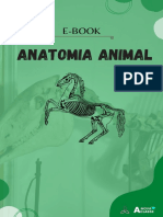 ANATOMMAAA