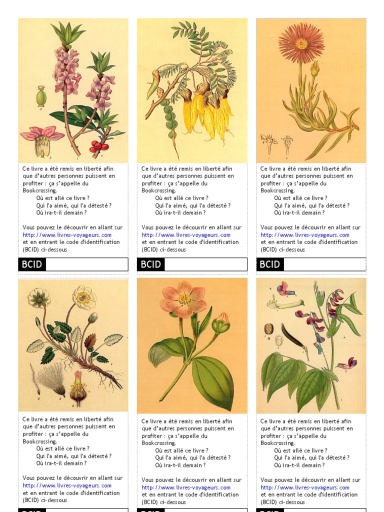 Étiquette Botanique | PDF | Livres | Collection (activité)