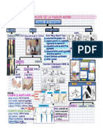 Notas de Neuro 4