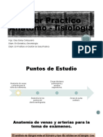 Taller Practico Anatomo Fisiologia