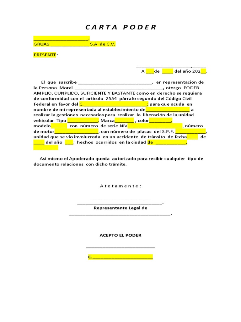 carta-poder-representante-legal-de-pdf