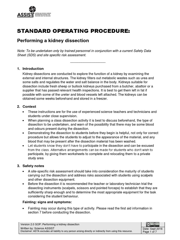 Kidney Dissection Pdf Kidney Medical Specialties