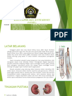 Kasus Sepsis Aki (Acute Kidney: Injury)