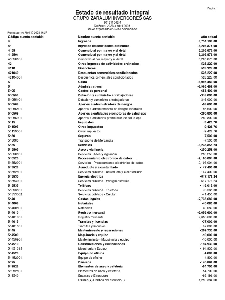 Estado de Resultado Integral 2023 | PDF | Industrias de servicio ...
