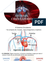 Sistema Cardiocirculatorio