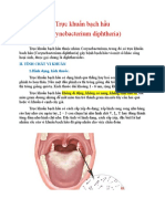 Trực khuẩn bạch hầu (Corynebacterium diphtheria) : I.Đại Cương