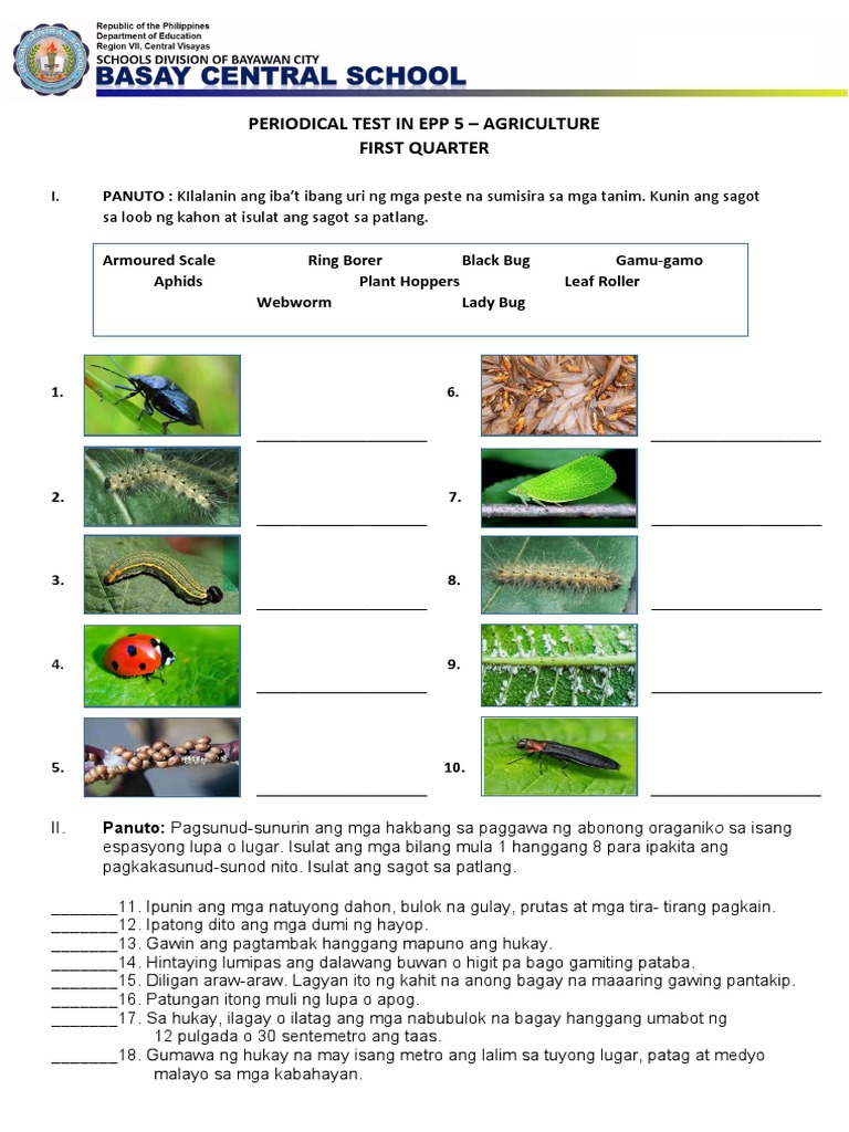 Q1 PERIODICAL TEST IN EPP 5 PDF