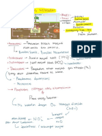 Materi Biogeokimia (Rangkuman Siklus Daur Biogeokimia)