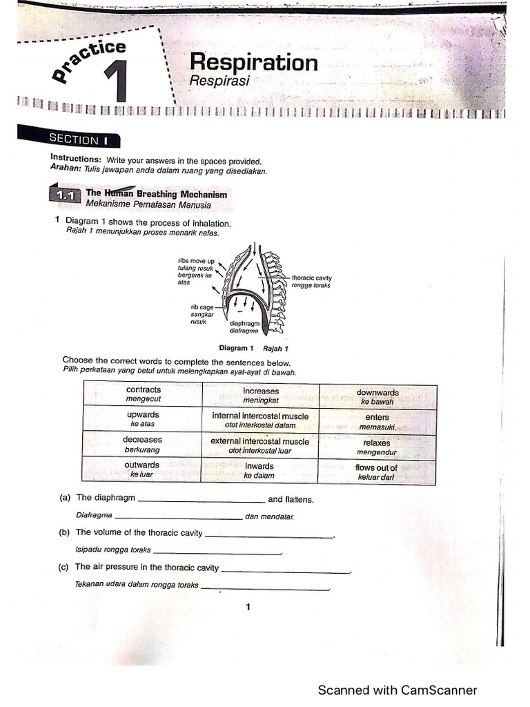 Chapter 2 Set 4 | PDF