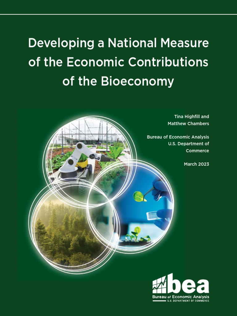 Bea Bioeconomy Report | PDF | Output (Economics) | Gross Domestic Product