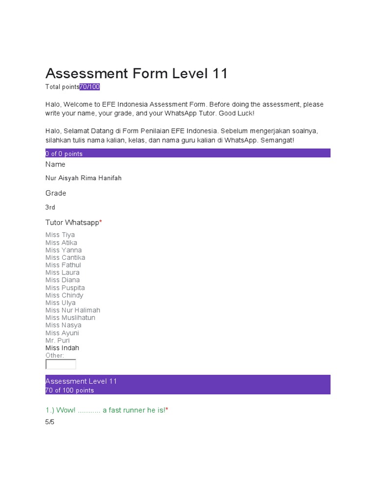 Assessment Form Level 11 | PDF