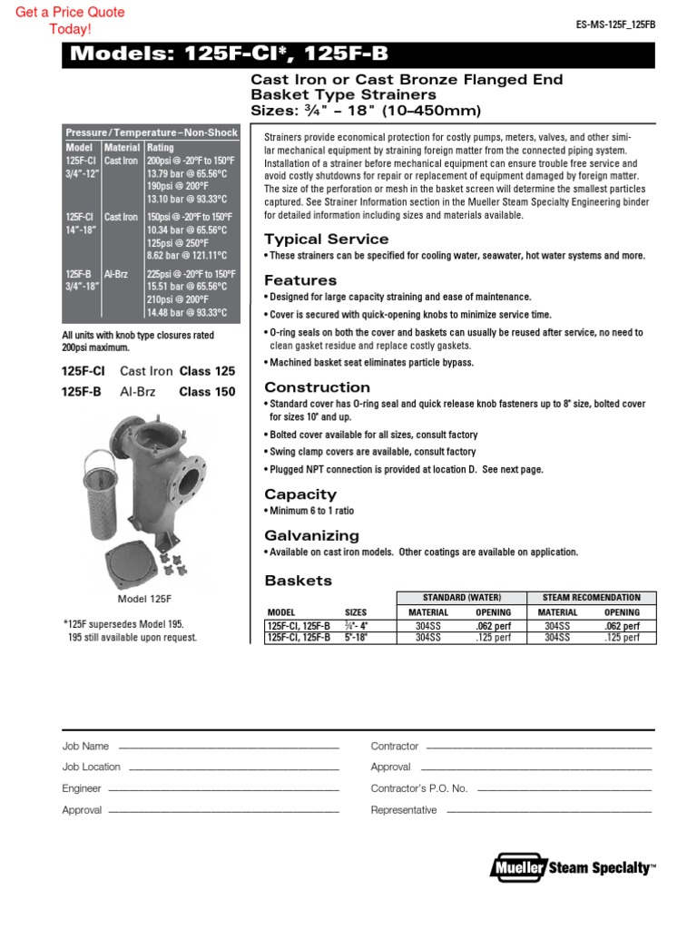 mueller-flanged-end-simplex-basket-strainer-models-125f-ci-125f-b-spec