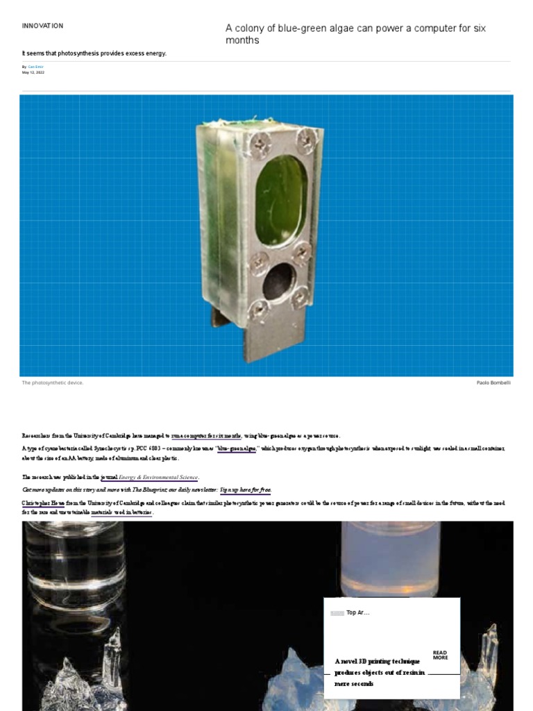 A Colony of Blue-Green Algae Can Power A Computer For Six Months | PDF ...