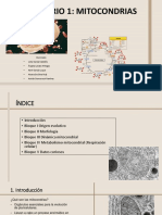 Presentación Seminario Mitocondrias GM3