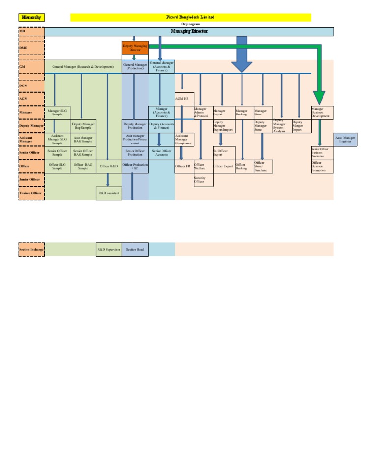 Picard Bangladesh Limited Organogram | PDF | Economies