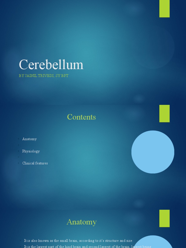 Cerebellum | PDF | Cerebellum | Neuroscience