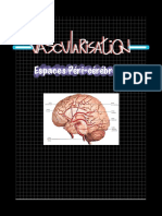 Anatomie Du Système Nerveux - Vascularisation, Espaces Péricérébraux