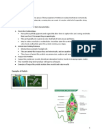 Kingdom of Protists