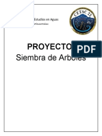 Proyecto Siembra de Arboles