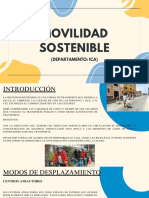 Movilidad Sostenible (Ica)