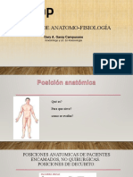 Clase 2 - Posiciones Anatomicas, Segmentos, Planos y Cortes Anatomicos 2