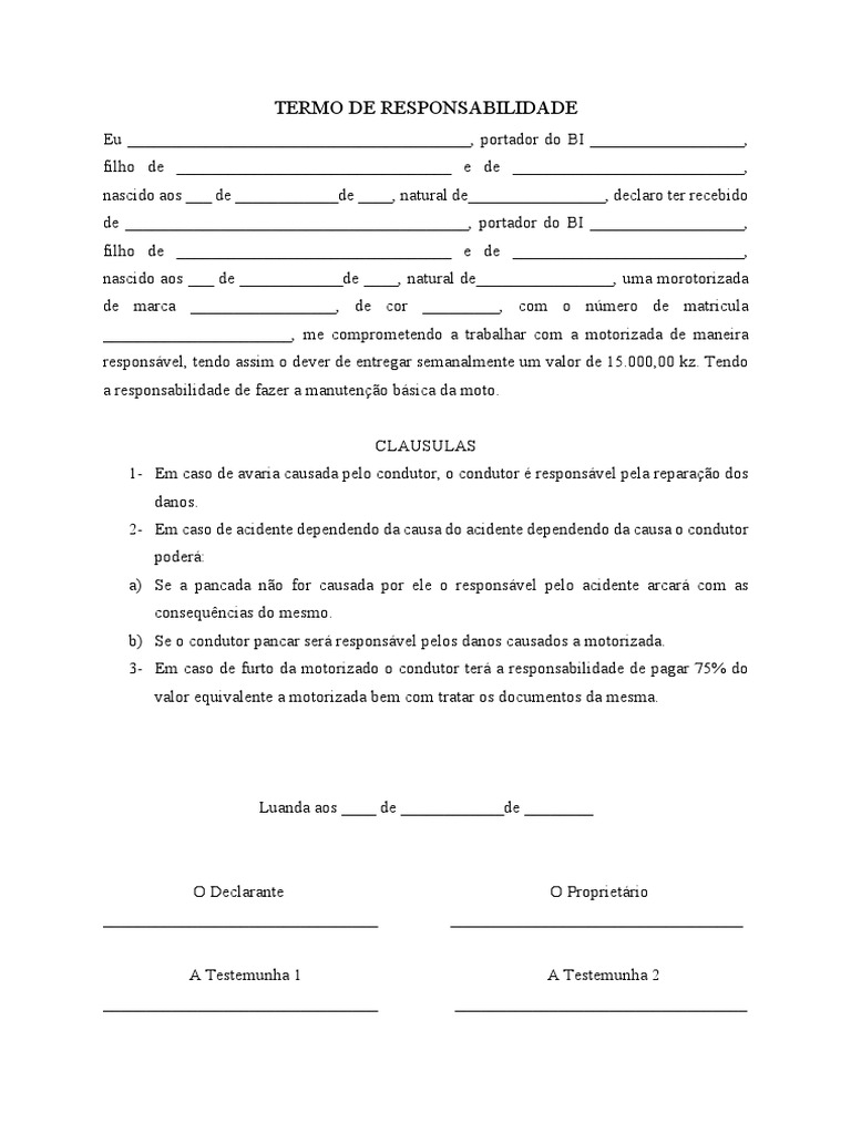 termo-de-responsabilidade-pdf