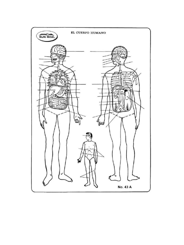 Mapamundi pdf