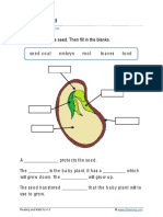 Worksheetssciencegrade 3 Plant Parts C PDF