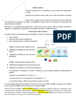 Ácidos Nucleicos