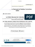 Consulta RNMC