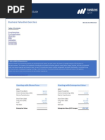 Business Valuation Exercises (Template)