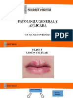 Clase 3 N Patología Unfv