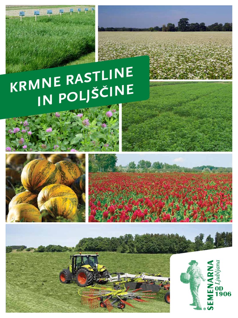 Krmne Poljscine 2017 Semenarna FIN | PDF