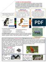 Ficha-Cyt-Indagamos Sobre La Diversidad de Animales Que Hay en Nuestro Perú