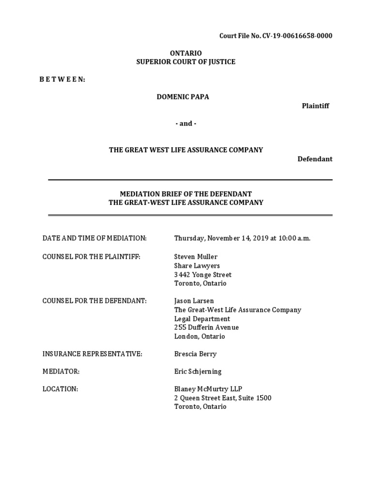 Mediation Brief PDF Psychiatry Employment