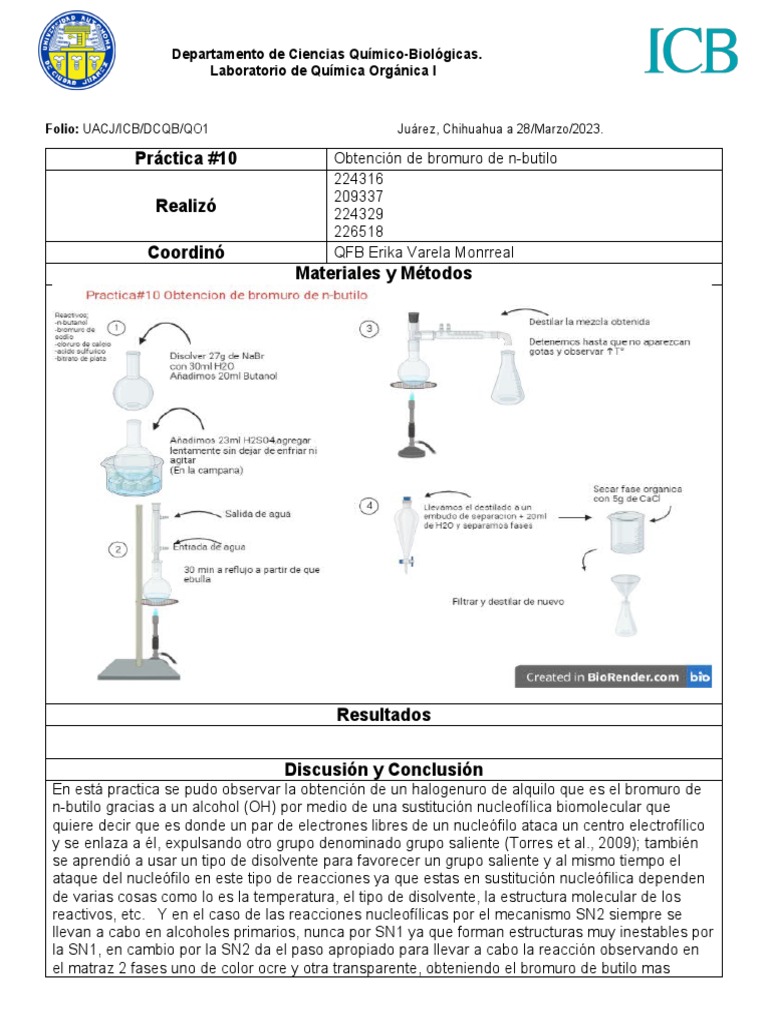 Practica 10 | PDF | Química | Ciencias fisicas