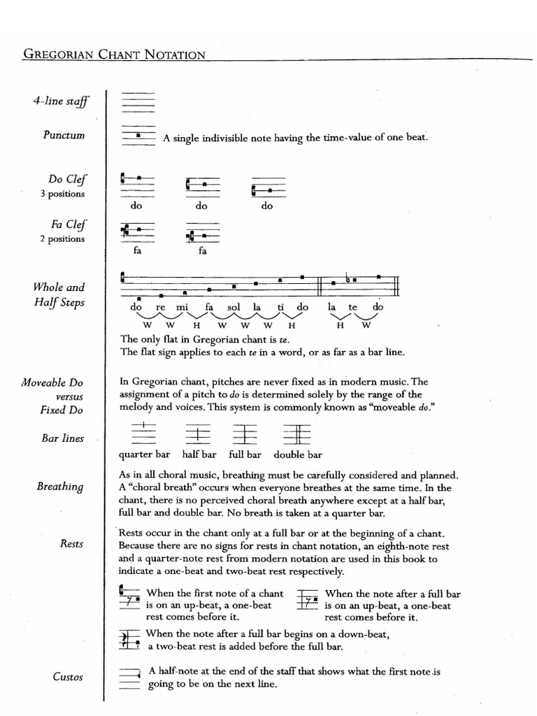 Neumas Guia | PDF
