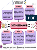 Mapa Conceptual Doodle A Mano Multicolor