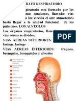 El Aparato Respiratorio