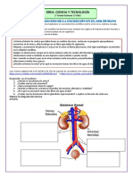 2do-Semana 17-Dia 2