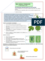 2do-Semana 17-Dia1