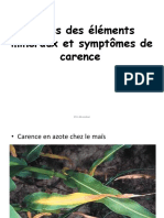 Image Symptômes de Carence Chez Les Plantes-Doc Apprennants