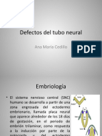 Defectos Del Tubo Neural